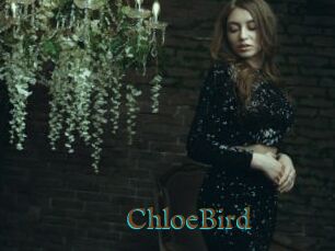 ChloeBird