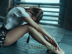 CindiBush