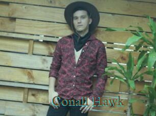 Conall_Hawk