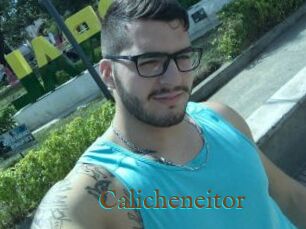 Calicheneitor