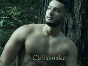 Calixsnake