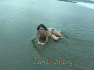 Canariona23