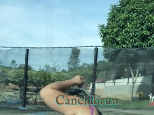 Canelabrun