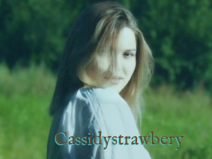 Cassidystrawbery