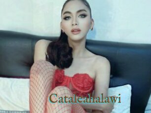 Cataleahalawi