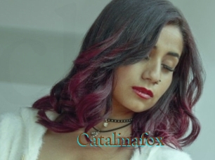 Catalinafox