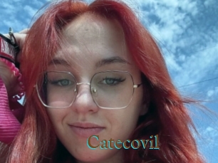 Catecovil