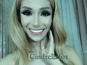 Cindrellafox