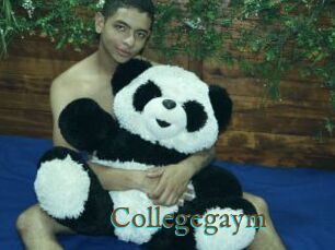 Collegegaym
