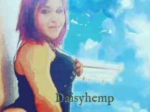 Daisy_hemp