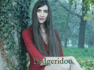 Didgeridoo
