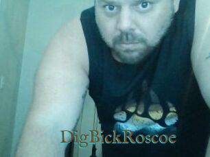 DigBickRoscoe