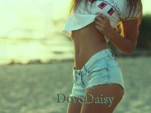 DoveDaisy