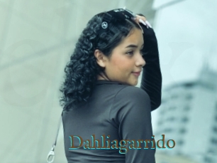 Dahliagarrido