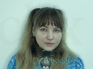 Daisyboddy