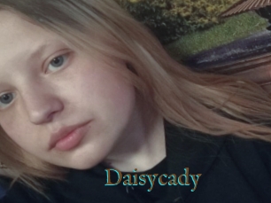 Daisycady
