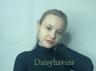 Daisyhavins