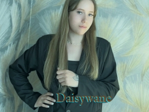 Daisywane