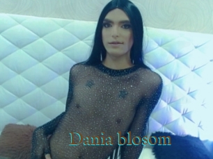 Dania_blosom