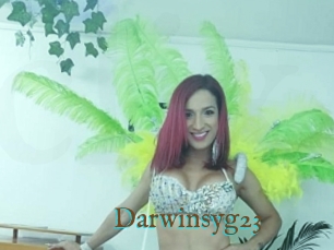 Darwinsyg23