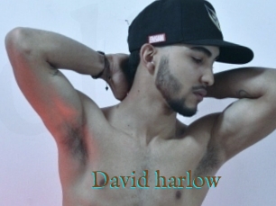 David_harlow