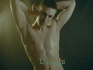 Davidlu