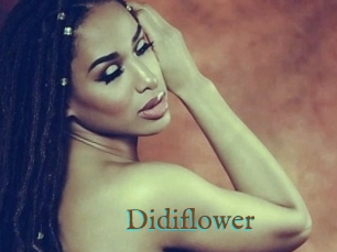 Didiflower