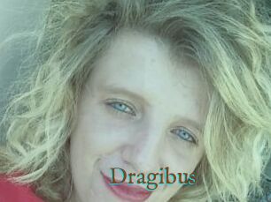 Dragibus