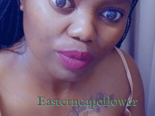 Easterncapeflower