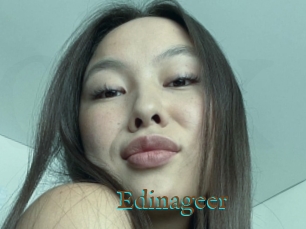 Edinageer