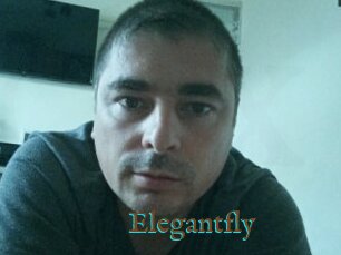 Elegantfly