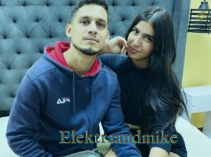 Elektraandmike