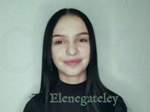 Elenegateley