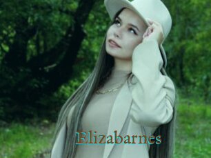 Elizabarnes