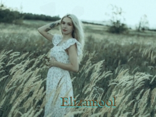Elizamool