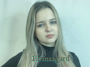Elvinaagard