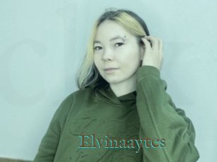 Elvinaaytes