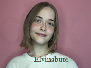 Elvinabute