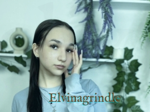 Elvinagrindle