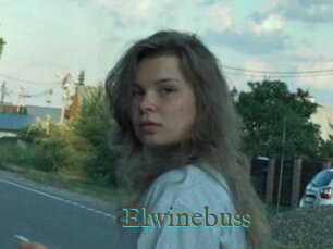 Elwinebuss