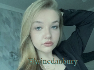 Elwinedanbury