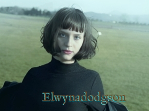 Elwynadodgson