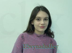 Elwynadudley