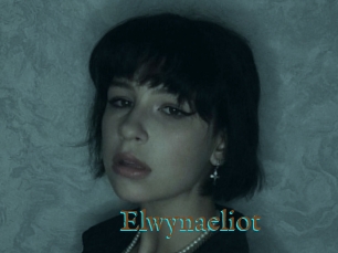 Elwynaeliot