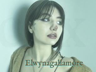 Elwynagallamore