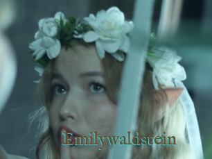 Emilywaldstein