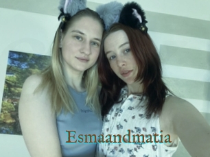 Esmaandmatia