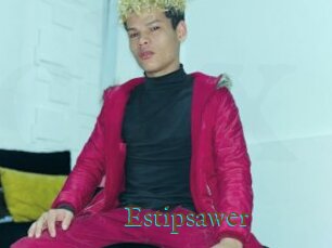 Estipsawer