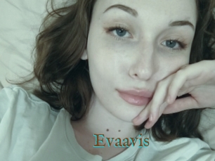 Evaavis