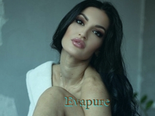 Evapure